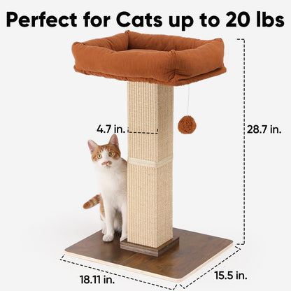 FUKUMARU Retro. Chosen for real quality, fits naturally into modern pet homes.