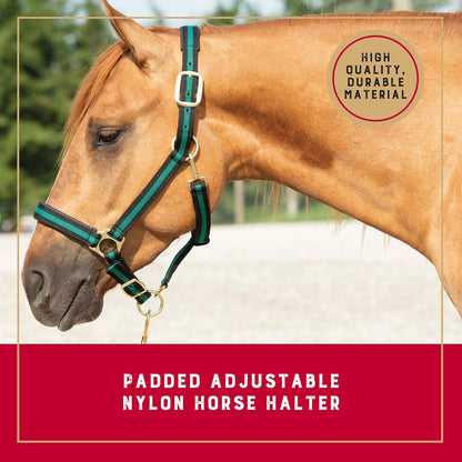Weaver Leather Nylon Horse Halter, Padded and Adjustable, Chin and Throat Snap Hook Halters for Horses, Brass Plated Halters for Training