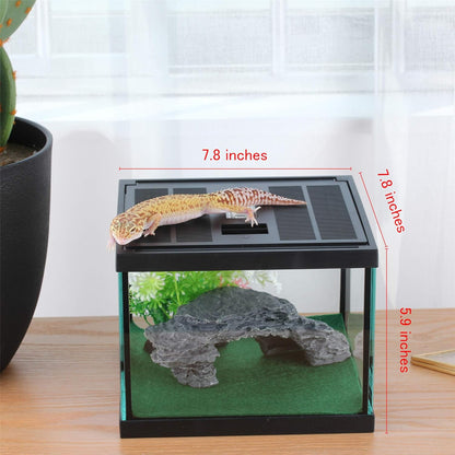 crapelles Glass Lizard Tank, Spider Box Kit, 7.8x7.8x5.9'' Tarantula Feeder Insects Beetle Habitat, Amphibians Terrarium for Small Pet, with Washable Mat, Resin Rock Shape Hideout, Artificial Flower