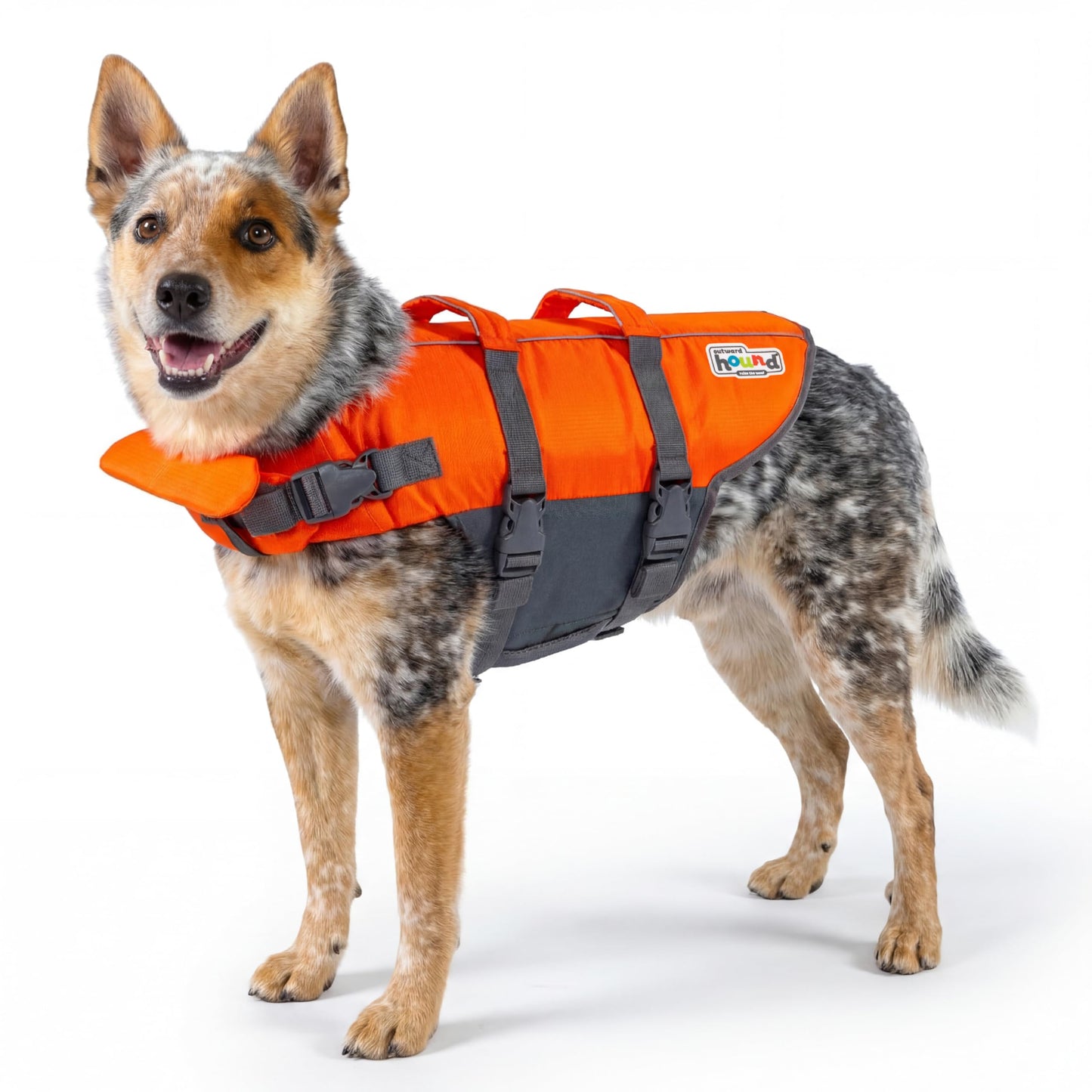 Outward Hound Granby Splash Dog Life Jacket. Chosen for real quality, fits naturally into modern