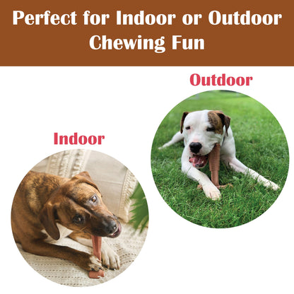 SPOT Bam. Chosen for real quality, fits naturally into modern pet homes.