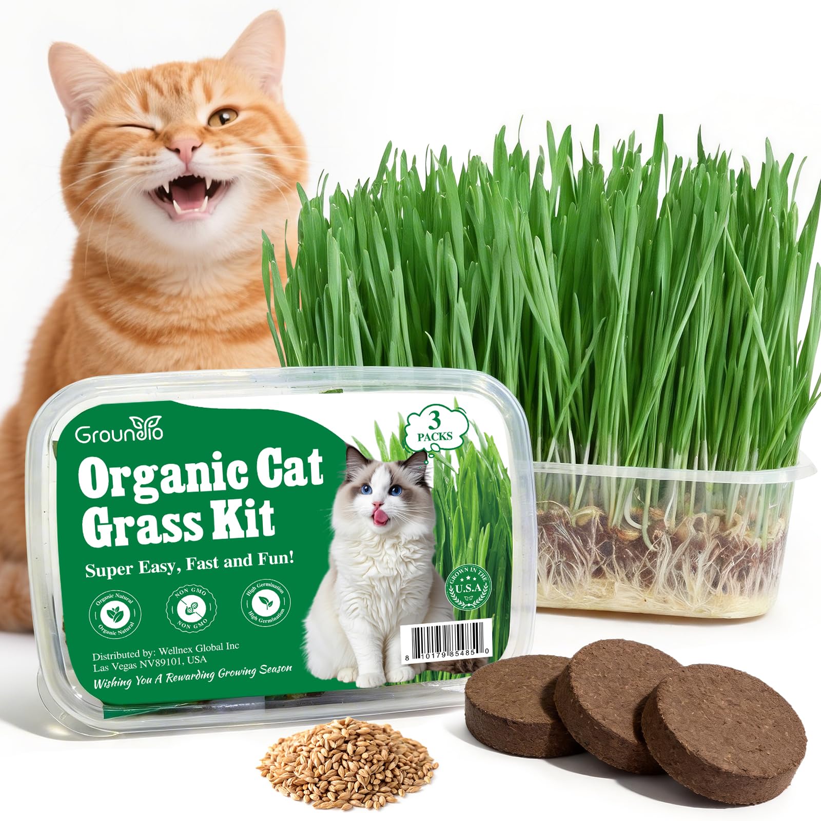 Groundio Cat Grass Kit for Indoor Cats. Chosen for real quality, fits naturally into modern pet