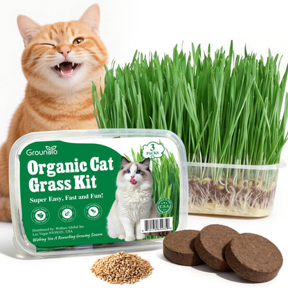 Groundio Cat Grass Kit for Indoor Cats. Chosen for real quality, fits naturally into modern pet
