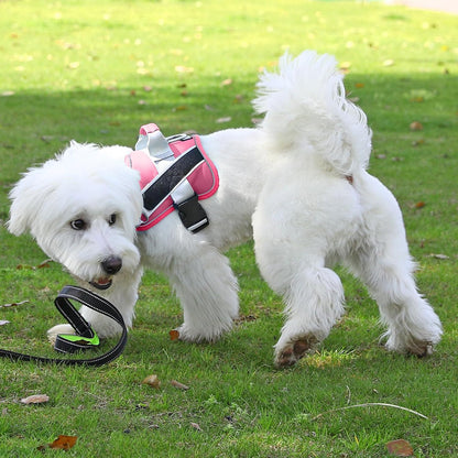 Bolux Dog Harness, No-Pull Reflective Dog Vest, Breathable Adjustable Pet Harness with Handle for Outdoor Walking - No More Pulling, Tugging or Choking (Fuchsia, XX-Large (Pack of 1))