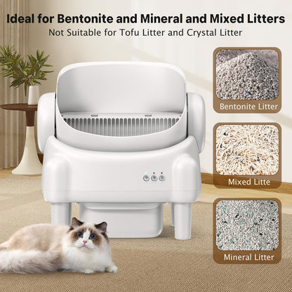ovesong Automatic Cat Litter Box. Chosen for real quality, fits naturally into modern pet homes.