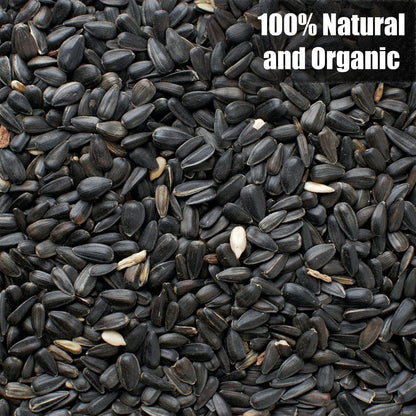 Wildlife Black Oil Sunflower Seeds for Birds and Wildlife, Non-GMO & USA Grown on Small Farms (25 lbs)