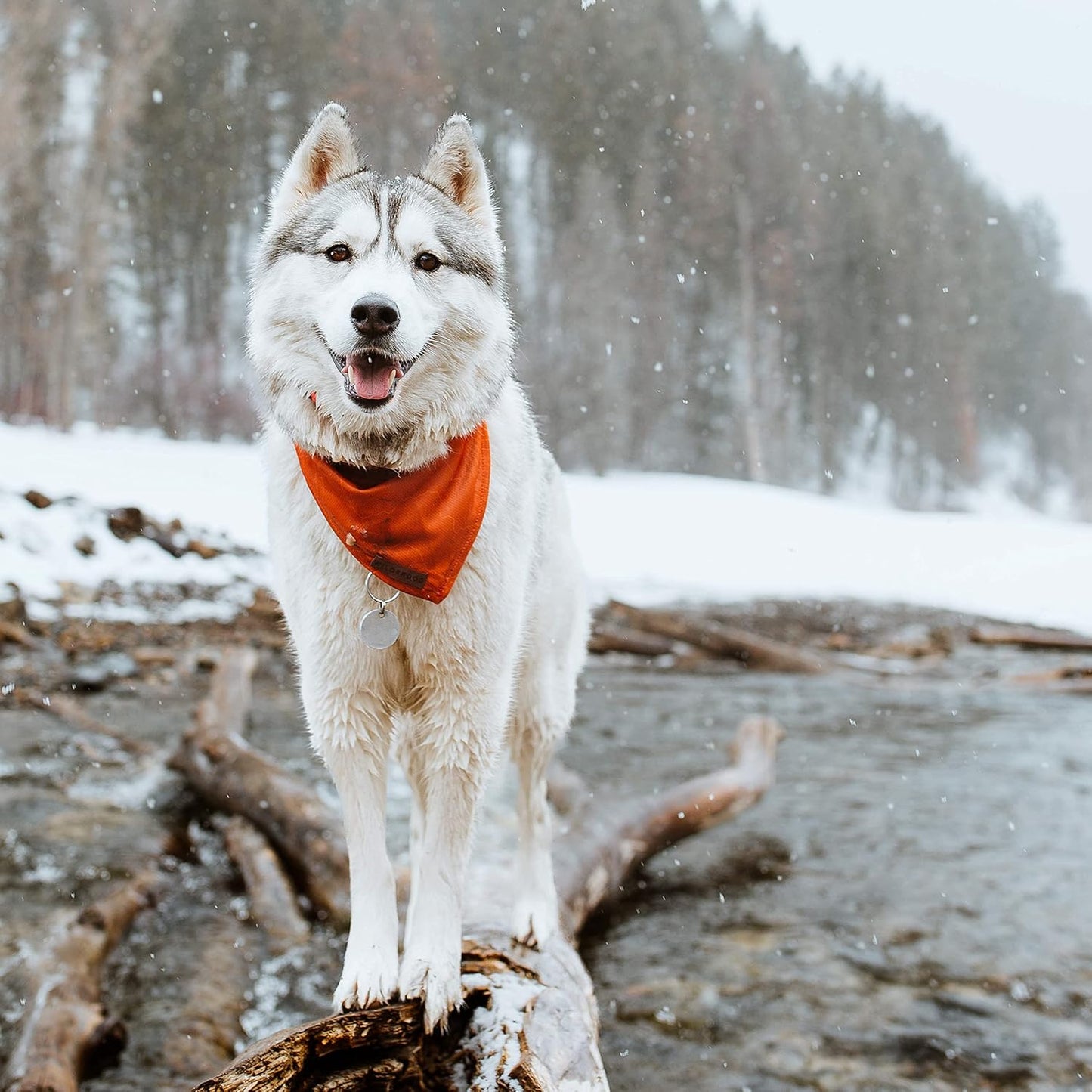 Wilderdog Dog Bandana with Lightweight Quick Drying Poly-Blend Mesh Material in Orange