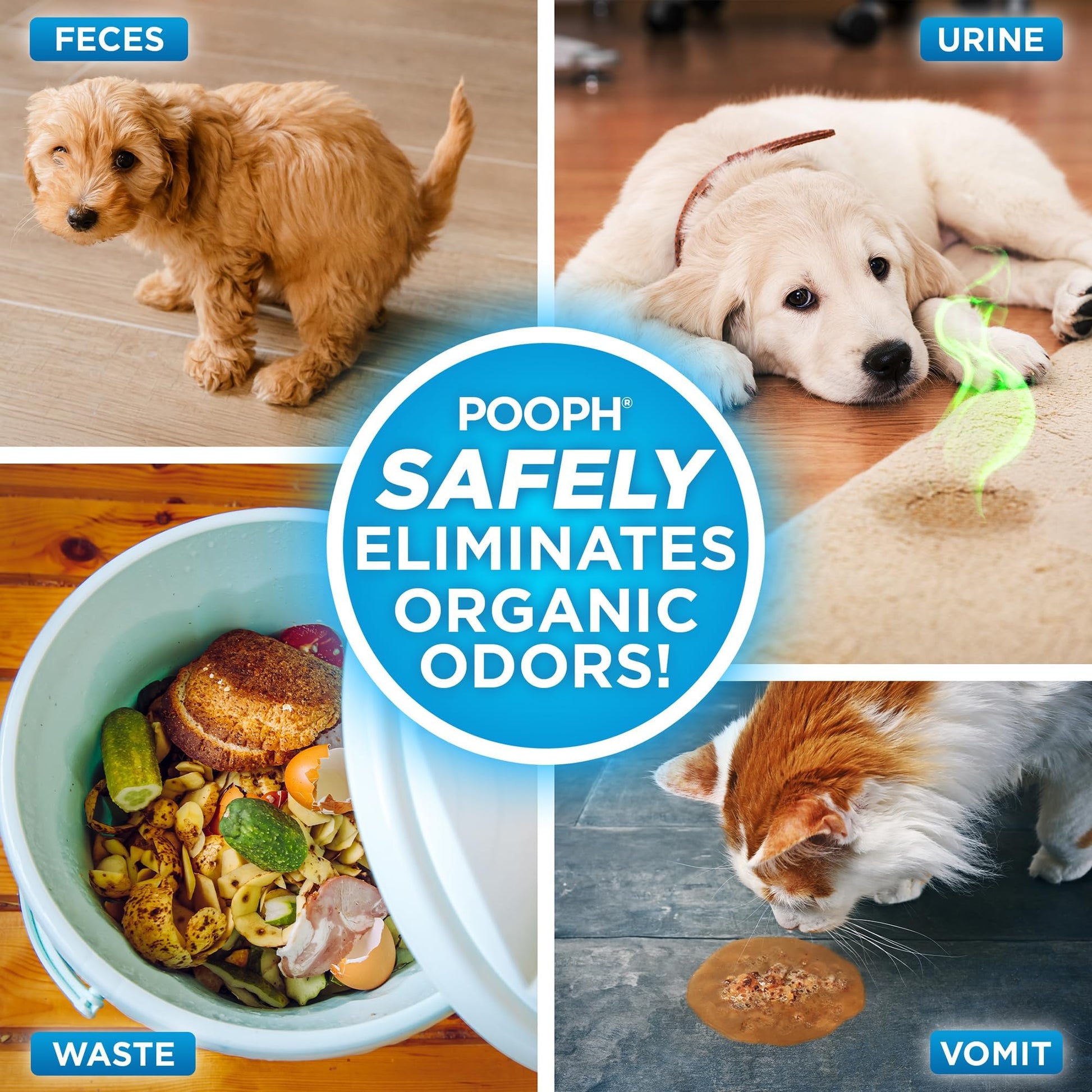 POOPH Pet Odor Eliminator Spray. Chosen for real quality, fits naturally into modern pet homes.