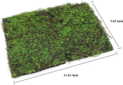 AQUA KT Terrarium Moss Background Backdrop Wall Artificial Reptile Amphibian Cage Decoration for Lizard Bearded Dragon Snake Frog Chameleon Climbing, Pack of 2