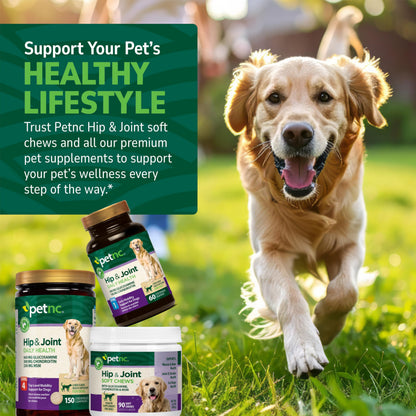 PetNC Natural Care Hip and Joint Soft Chews for Dogs. Chosen for real quality, fits naturally into