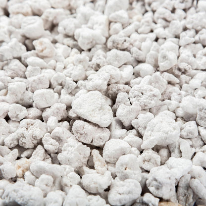 Perlite Bliss (16 Qts) - Organic Perlite for Plants - Coarse Perlite Bulk Soil Amendment - Chunky Perlite for Plants, Potting Soil, Garden Soil, & Coco Coir - Horticultural Perlite for Gardening