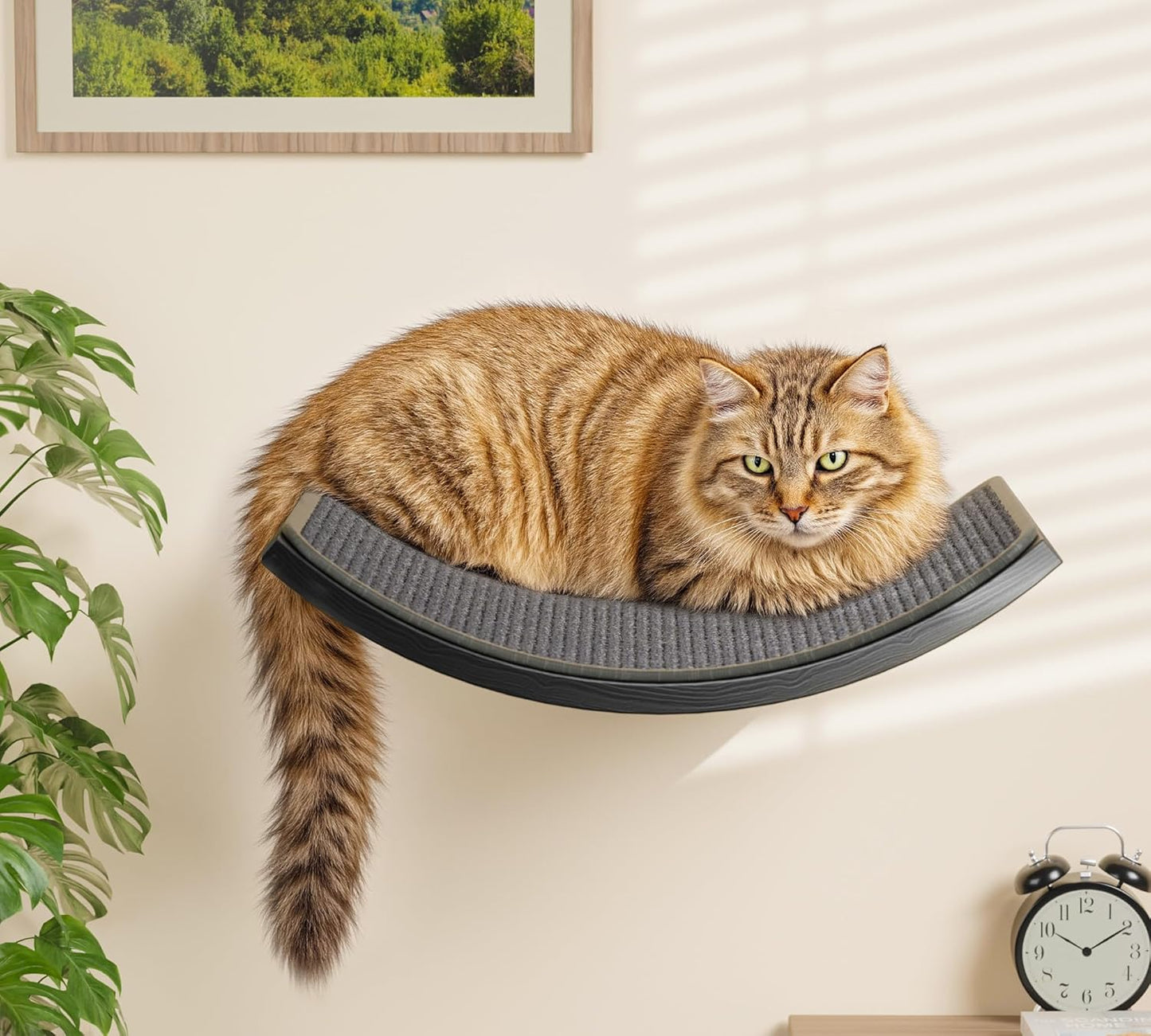 Gray Cat Wall Shelf with Grey Sisal Mat, Curved Cat Bed for Scratching and Resting, Wall Mounted Hammock for Large Cats