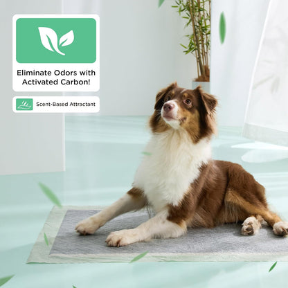 Bedsure Pee Pads for Dogs, 22" x 22" Puppy Pads 100 Count, Super Absorbent & Leak Proof, Small Dog Training Pads Quick Dry Thicken Pets Potty Pads Odor-Control Activated Carbon & ECO Green Material
