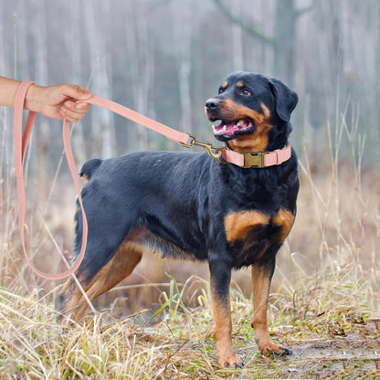 Didog Soft PU Leather Dog Collar, Stylish Quick Released Dog Collar for Large Dogs, Easy Clean Adjustable Pet Collar for Daily Walking, Pink, L Fit 15-23" Neck
