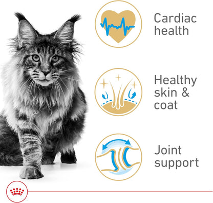 Royal Canin Maine Coon Breed Adult Dry Cat Food, 6 lb bag