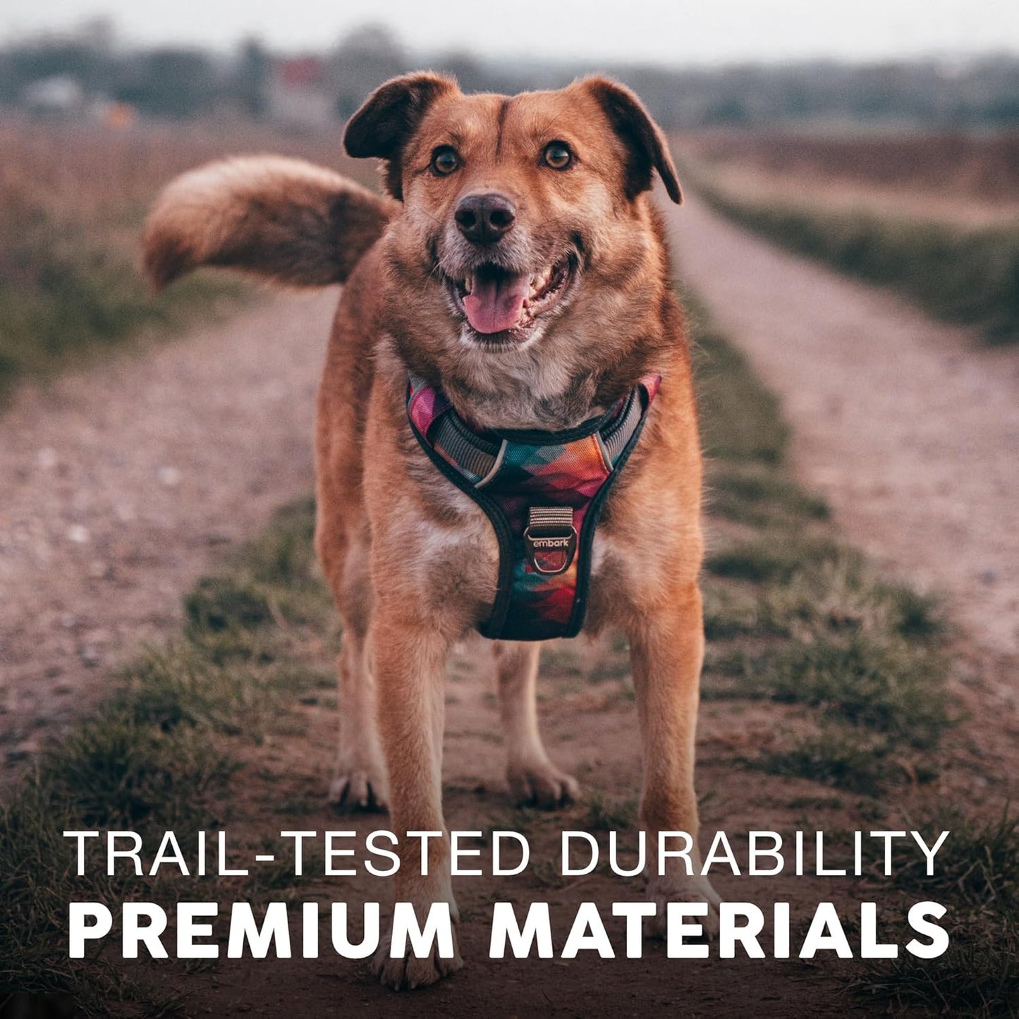 Embark Adventure Dog Harness, Reflective Trim No Pull Dog Harness for Large Dogs - Military Grade Nylon, Front Clip with Gel Lined Handle. Soft & Padded Puppy