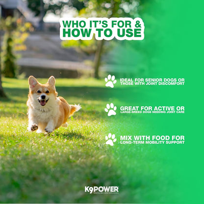 K9 Power Joint Strong Supplement 1 lb - Dog Joint Health & Mobility Support with Glucosamine, Curcumin, Chondroitin, Hip & Joint Pain Relief
