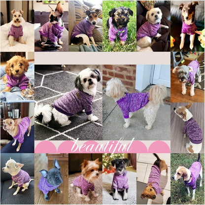 Jecikelon Dog Clothes Dogs Sweater Soft Puppies Clothing Winter Puppy Sweaters Warm Outfit for Dogs Small XXS XS Cat Apparel (Purple, XXS)