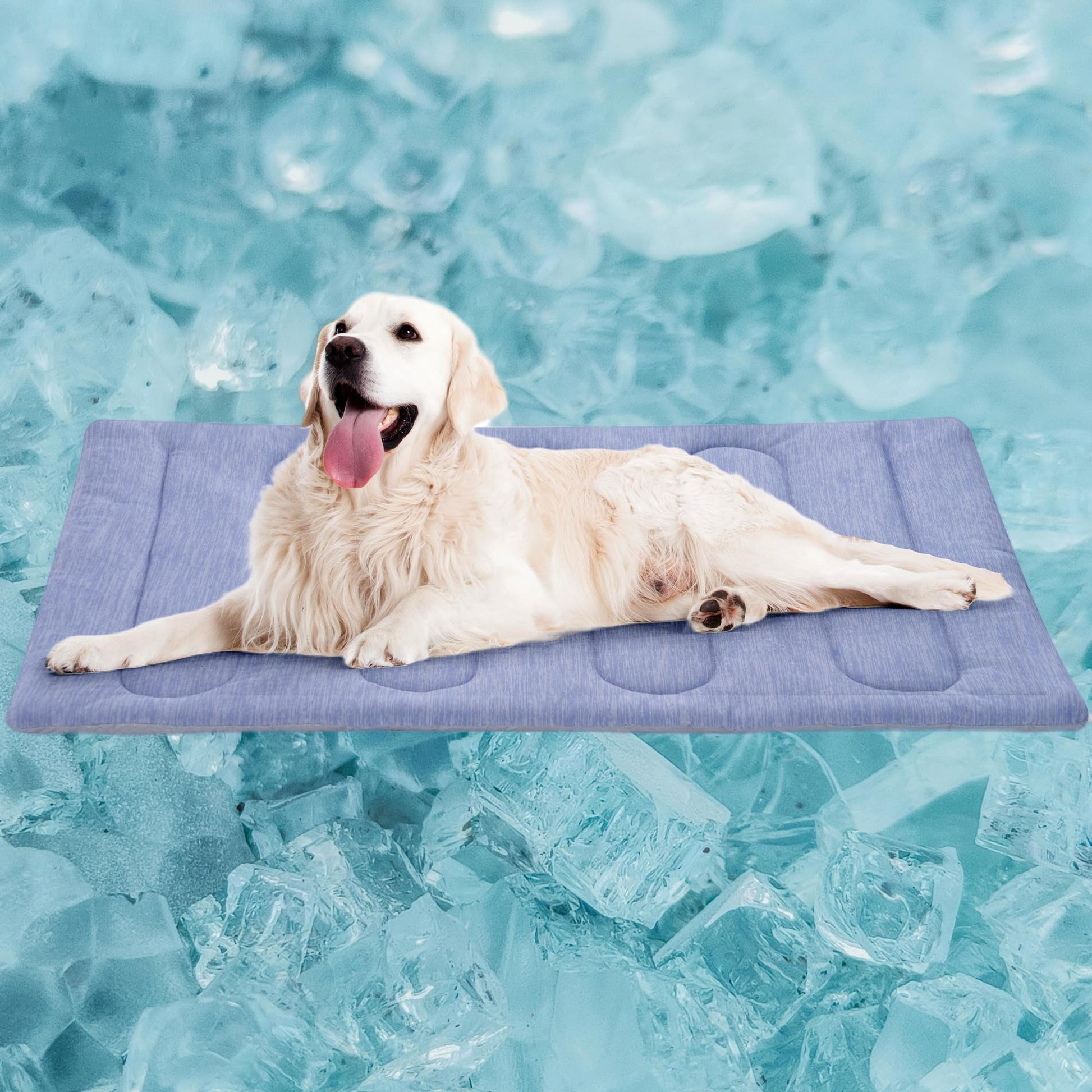 PAIGTEK Cooling Mat for Large Dogs. Chosen for real quality, fits naturally into modern pet homes.