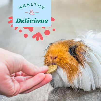 Oxbow Animal Health Natural Science Joint Support, Anti Inflammatory Supplement for Rabbit & Guinea Pig, Oxbow Timothy Hay, Made with Glucosamine, Turmeric, & Yucca, Made in USA, 4.2 oz Bag