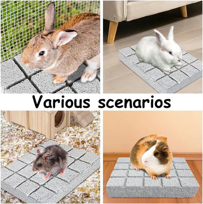 Hamiledyi 6PCS Rabbit Scratching Pads Bunny Lava Grinding Claw Pads Small Animal Foot Pads Hamster Scratch Board Chew Toys for Gerbil Chinchilla Hedgehog Guinea Pig Cage Accessories