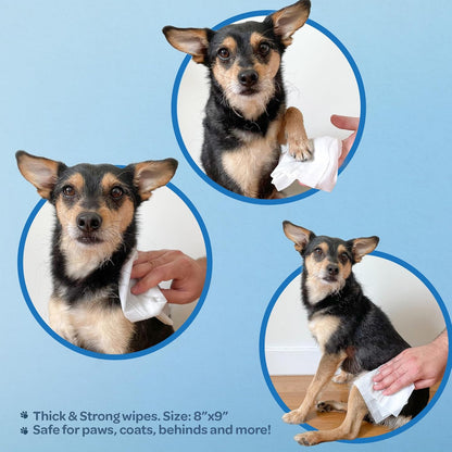 Best Pet Supplies Pet Grooming Wipes for Dogs & Cats,Deodorizer for Coats & Dry, Itchy, or Sensitive Skin, Clean Ears, Paws, Body, & Butt - Hydrating, Aloe Vera, 400 Count.