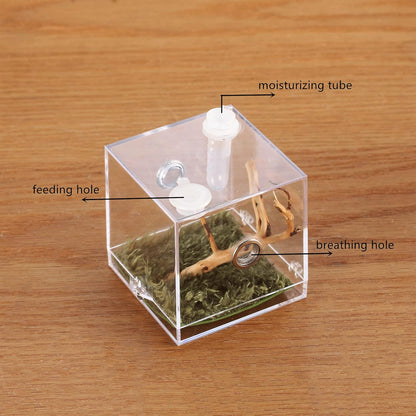 crapelles Jumping Spider Micro Big Habitat, Small Pet Insect Breeding Box, 360 Degree High Transparent Reptile Cage, Acrylic Case Mini Carrier for Amphibians, Feeding Container Enclosure Accessories