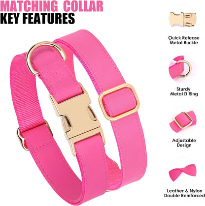PET ARTIST Soft PU Leather Dog Collar, Bright & Stylish Hot Pink Dog Collar Girl with Quick Release Rose Metal Buckle, Nylon Padded Durable Pet Collars Adjustable for Small Dogs, Neck Fit 9-14"