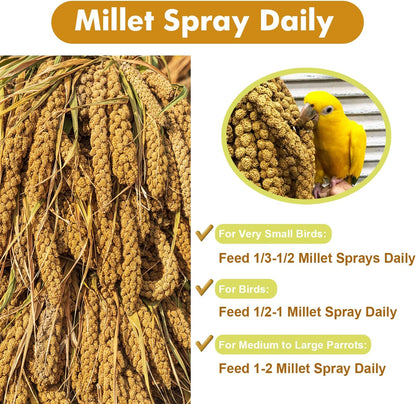 Jmxu's 2LB Spray Millet Treat for Birds Parakeets, Natural Sun-Dried Birds Millet for Cockatiel, Finches, Parrots, Hamster