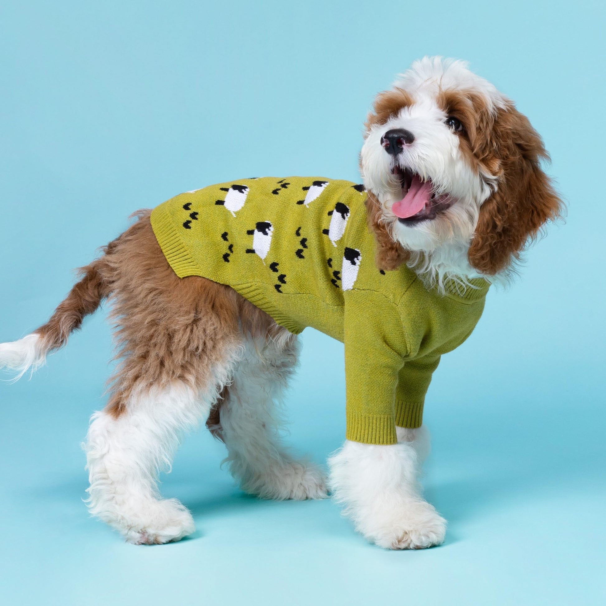 Fitwarm Funny Sheep Dog Sweater. Chosen for real quality, fits naturally into modern pet homes.