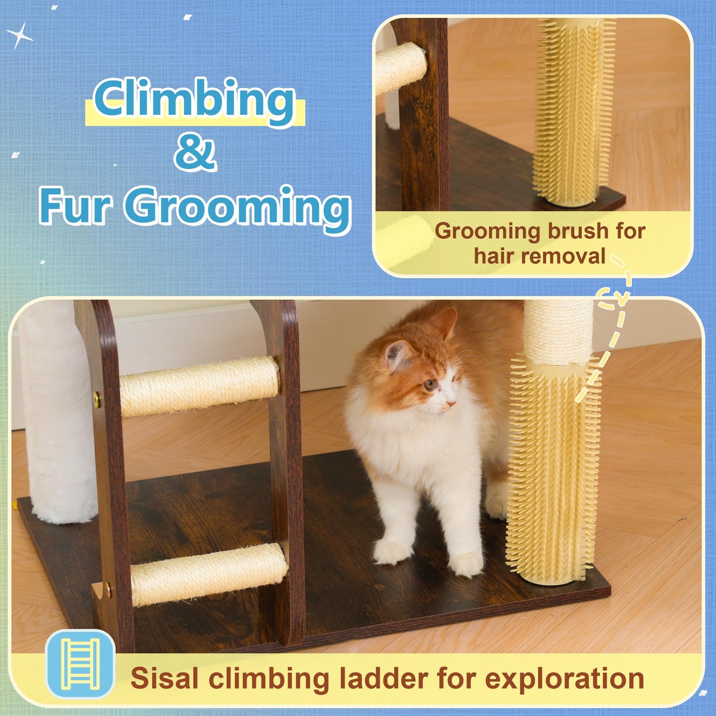 Hey. Chosen for real quality, fits naturally into modern pet homes.