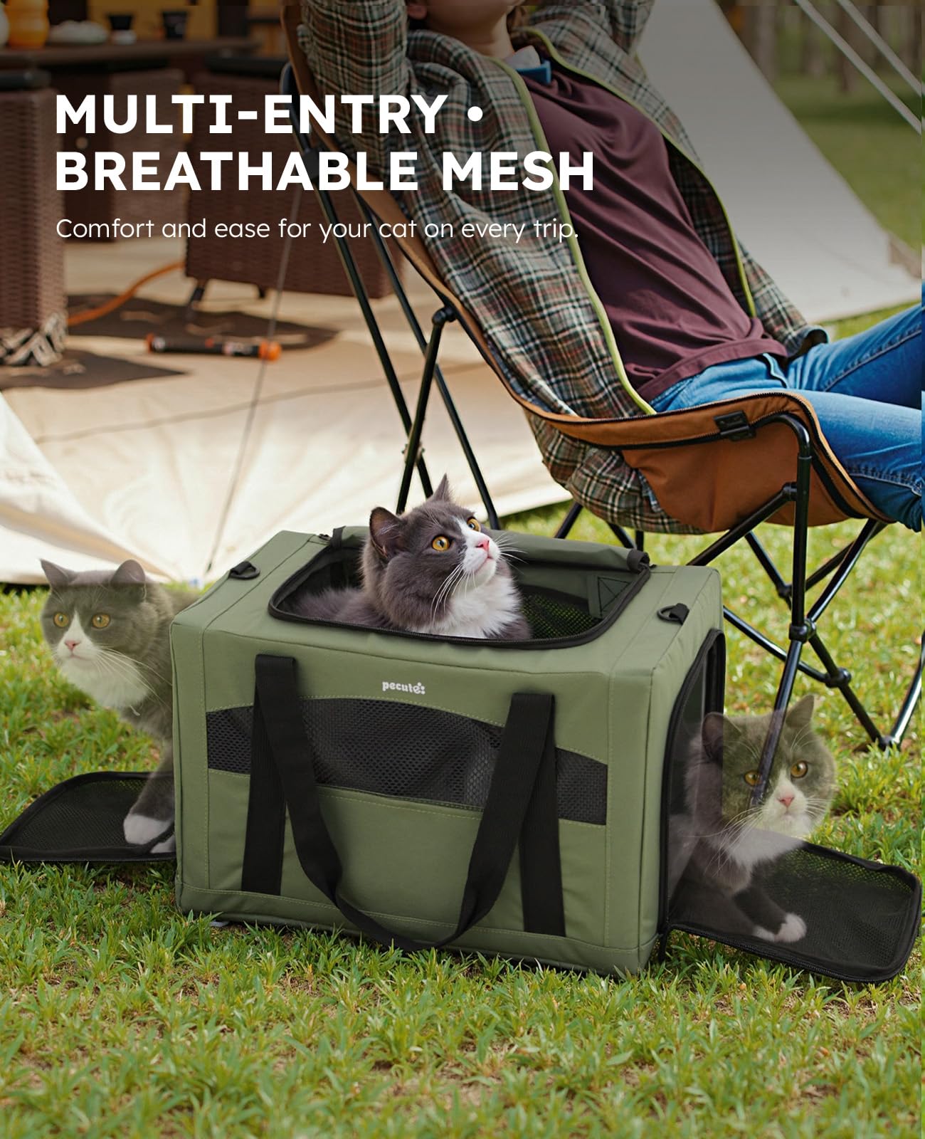Pecute Cat Carrier Stable. Chosen for real quality, fits naturally into modern pet homes.