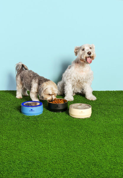STANLEY Pet Bowl | 3. Chosen for real quality, fits naturally into modern pet homes.