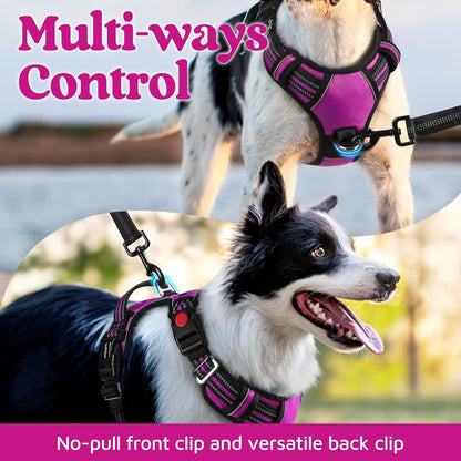 rabbitgoo Dog Harness for Large Dogs, No Pull Pet Vest with 3 Buckles, Adjustable Soft Padded Pet Harness with Easy Control Handle and Reflective Strips, Purple, XL