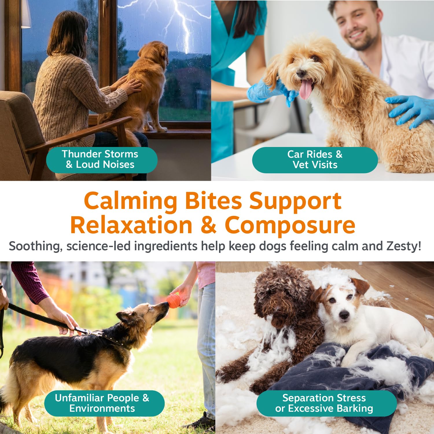 Zesty Paws Calming Chews for Dogs. Chosen for real quality, fits naturally into modern pet homes.