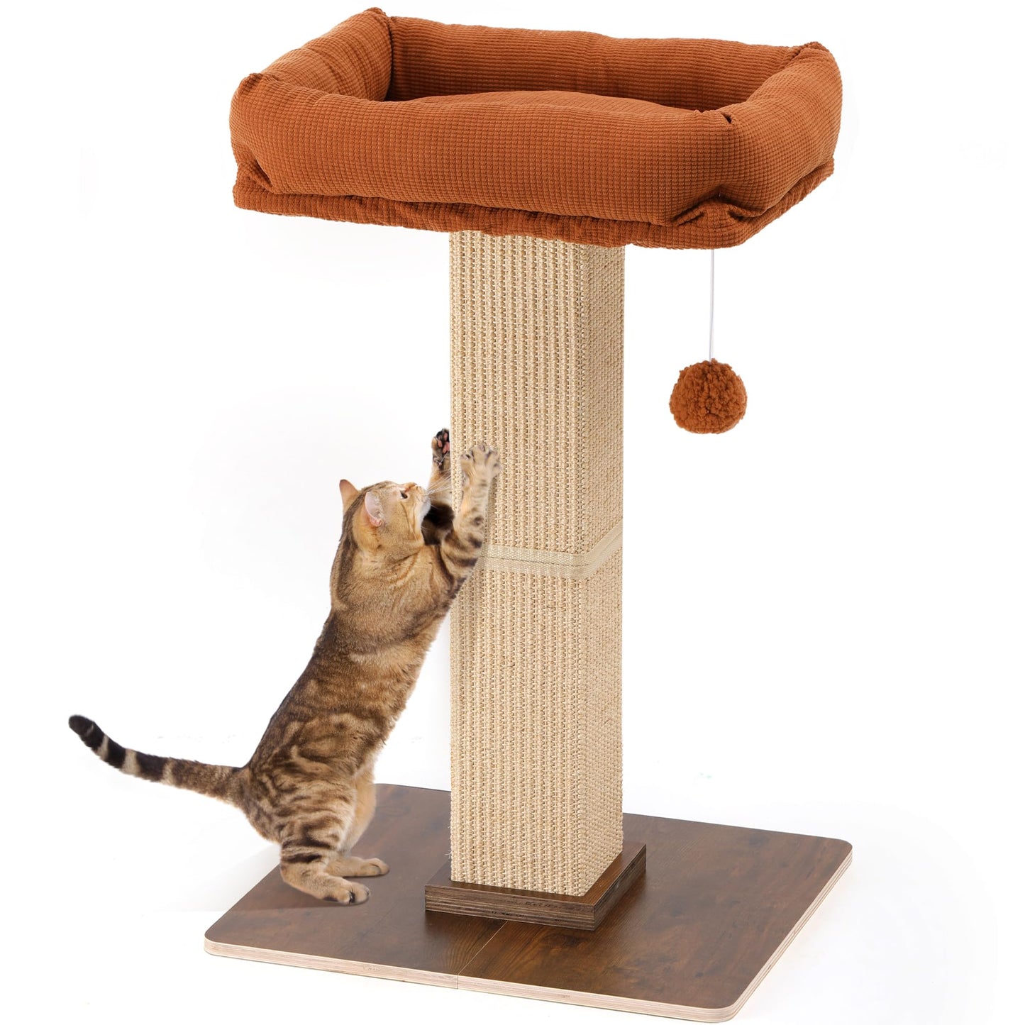 FUKUMARU Retro. Chosen for real quality, fits naturally into modern pet homes.