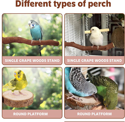 5PCS Bird Perch Stand Natural Wooden Parrot Stand Branch,3 Grape Wood Perch,2 Platform,Paw Grinding Fork Parakeet Chewing Stick Exercise Training Branches for Cockatiels,Small Birds