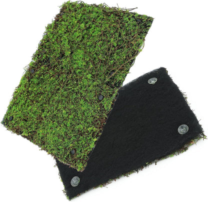 AQUA KT Terrarium Moss Background Backdrop Wall Artificial Reptile Amphibian Cage Decoration for Lizard Bearded Dragon Snake Frog Chameleon Climbing, Pack of 2