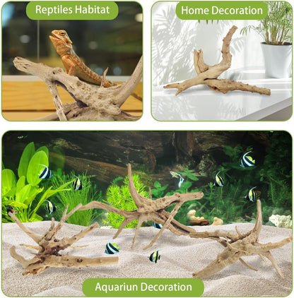 Tfwadmx Aquarium Driftwood, 7-11" Spider Wood Sinkable Driftwood for Fish Tank Decorations Natural Branches for Reptile, Assorted Spider Wood Branch Pack of 3