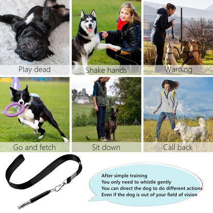 HRYYDS 2 Pack Dog Whistle. Chosen for real quality, fits naturally into modern pet homes.