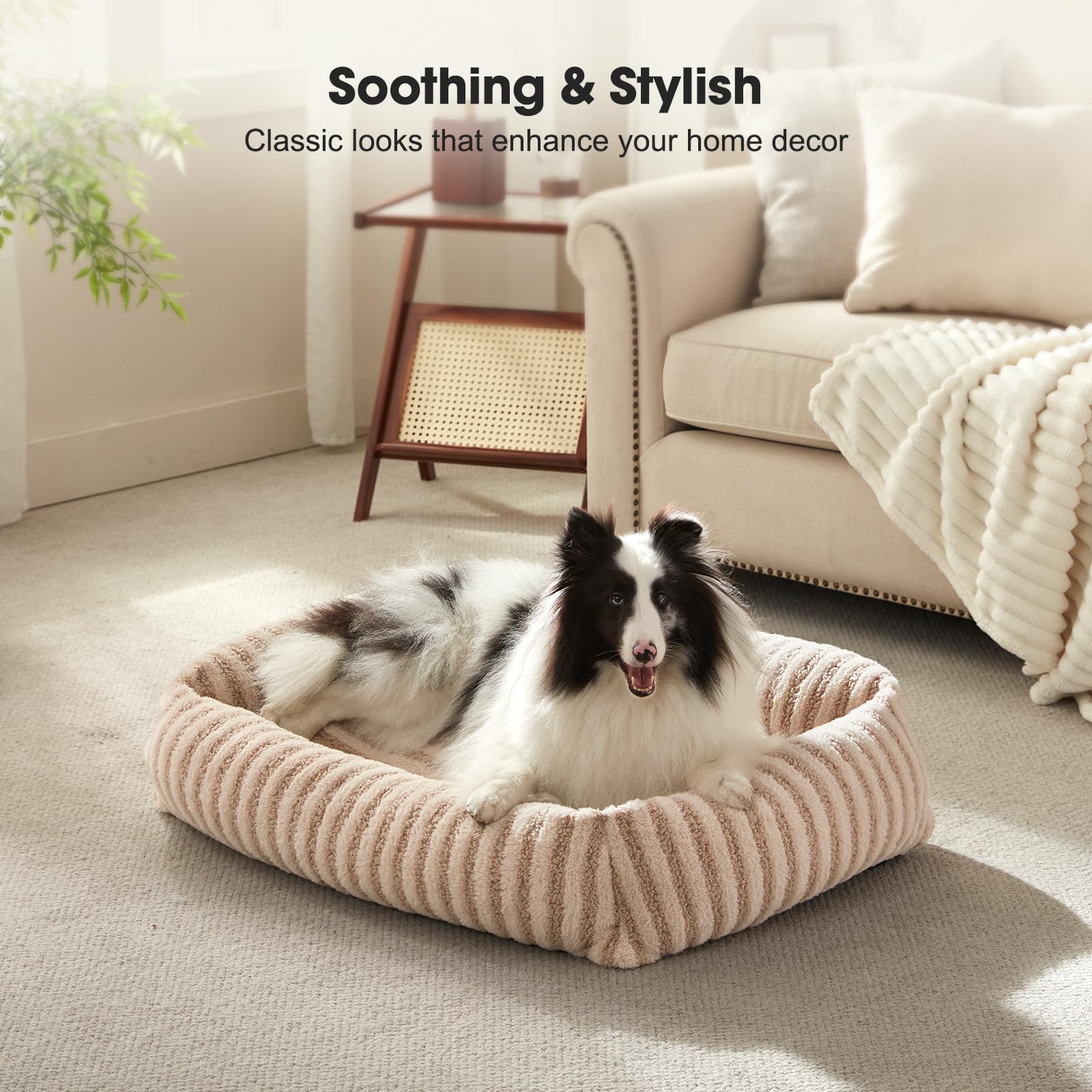 MIXJOY Dog Beds for Small Dogs Cats. Chosen for real quality, fits naturally into modern pet homes.