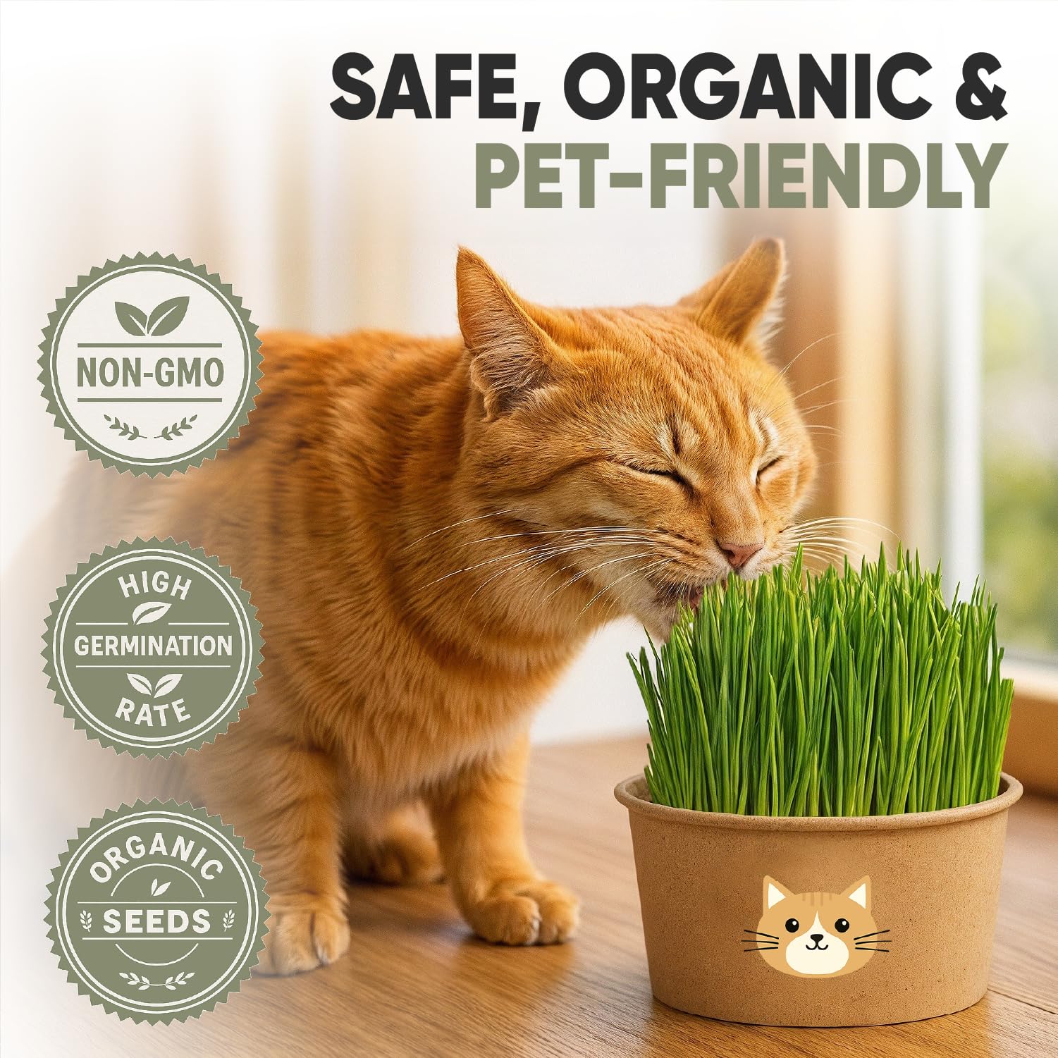 Cat Grass Kit for Indoor Cats. Chosen for real quality, fits naturally into modern pet homes.