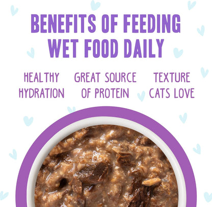 Weruva B.F.F. OMG - Best Feline Friend Oh My Gravy!, Booya! Beef & Chicken in Gravy Cat Food, 2.8oz Pouch (Pack of 12)