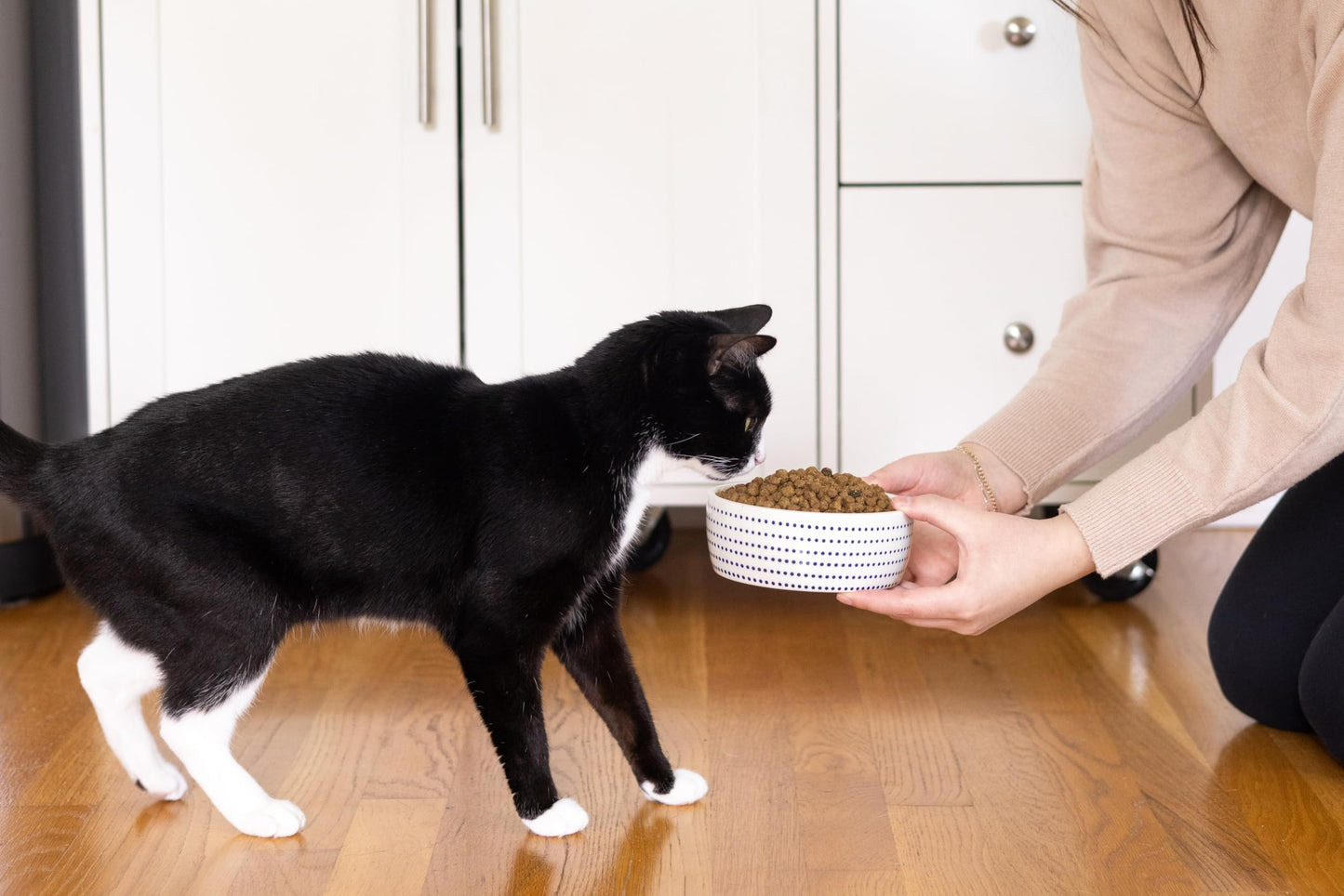 Pearhead Ceramic Cat Bowl. Chosen for real quality, fits naturally into modern pet homes.