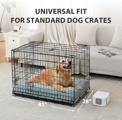 Pet Bed Cooling System, Consistent Warm and Cold Water Pad, No Electric Shock or Chemical Gel Needed, Machine Washable Bed, Ideal for Home and Crates (Cooling & Heating Green, 41" x 28")