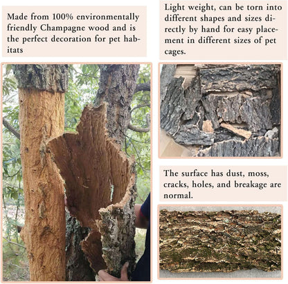 Tfwadmx 2Pcs Cork Terrarium Background 11.8” x 11.8” Natural Cork Bark Backdrop Reptile Background Climbing Wall Terrarium Accessories for Lizard, Tortoise, Gecko, Bearded Dragon, Chameleon