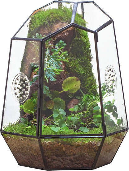 NCYP Closed Geometric Glass Enclosure with Front Opening Door & 2 Vent Holes for Insects, Succulent, Cacti - 7.9"x6.9"x9.8" Black Irregular Terrarium Planter - Home Garden Tabletop Decor (No Plants)