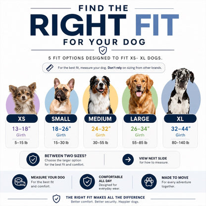 ShawnCo Essential Dog Harness. Chosen for real quality, fits naturally into modern pet homes.