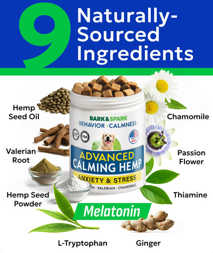 Hemp Calming Treats for Dogs. Chosen for real quality, fits naturally into modern pet homes.
