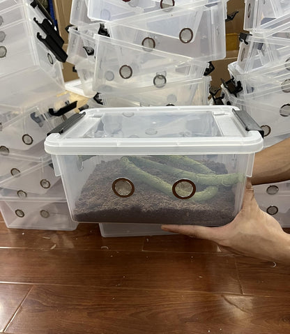 2pcs Large Reptile Feeding Box Snake Breeding Box Plastic Reptile Tank for Sling,Geckos,Frog,Lizards,Chameleons,Turtles, Serpents Scorpion Snail Insect Hermit Crab Spider